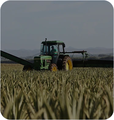 Tecnologia e educação: trazendo força ao agronegócio